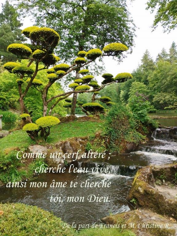 09-Francis-M-Christine