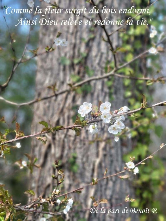 05-020260323 153555-Benoit-La-vie