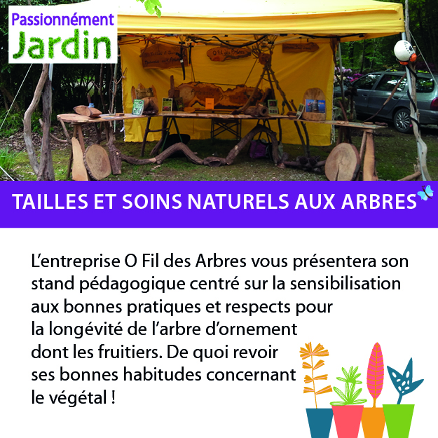 Tailles-et-soins-naturel-aux-arbres
