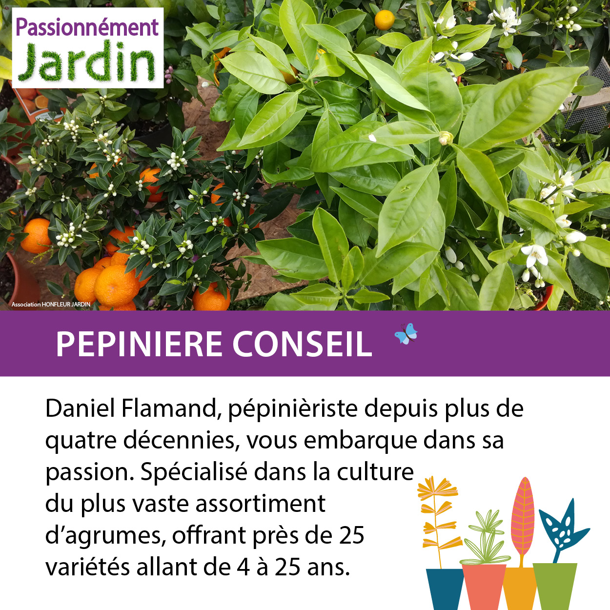 Pepiniere-Conseil