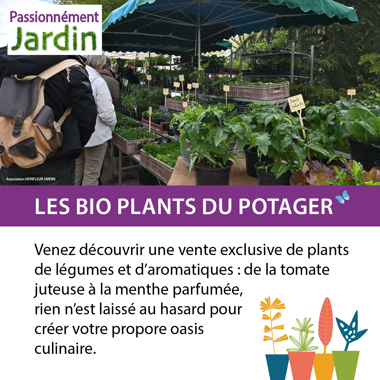 Les-bio-plants-du-potager-gaec