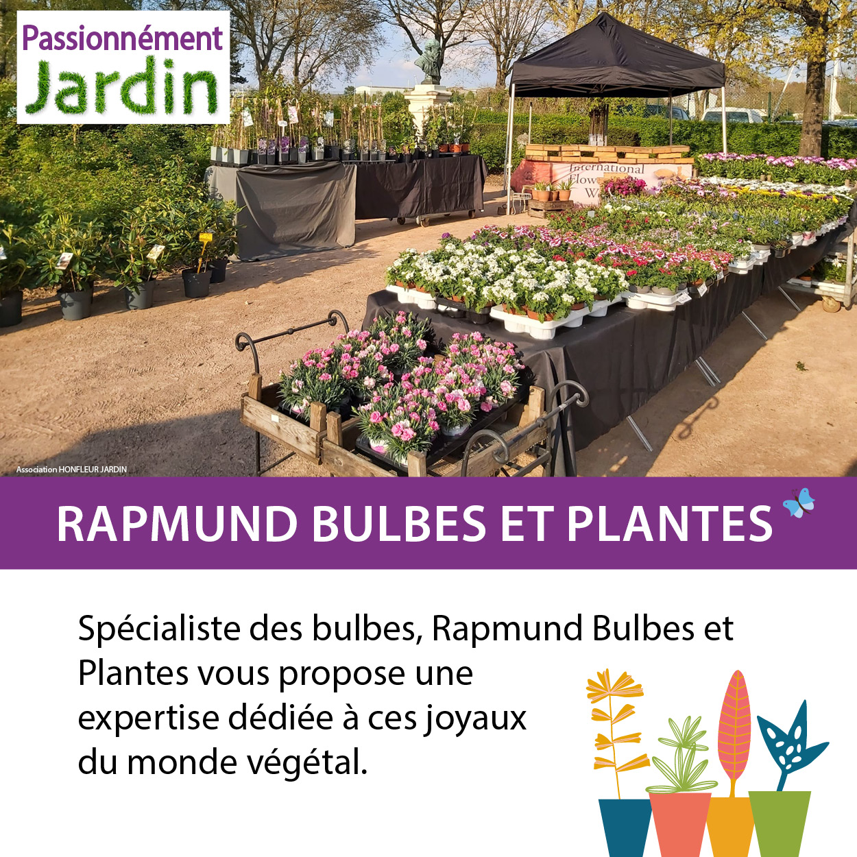 Bulbes-et-Plantes
