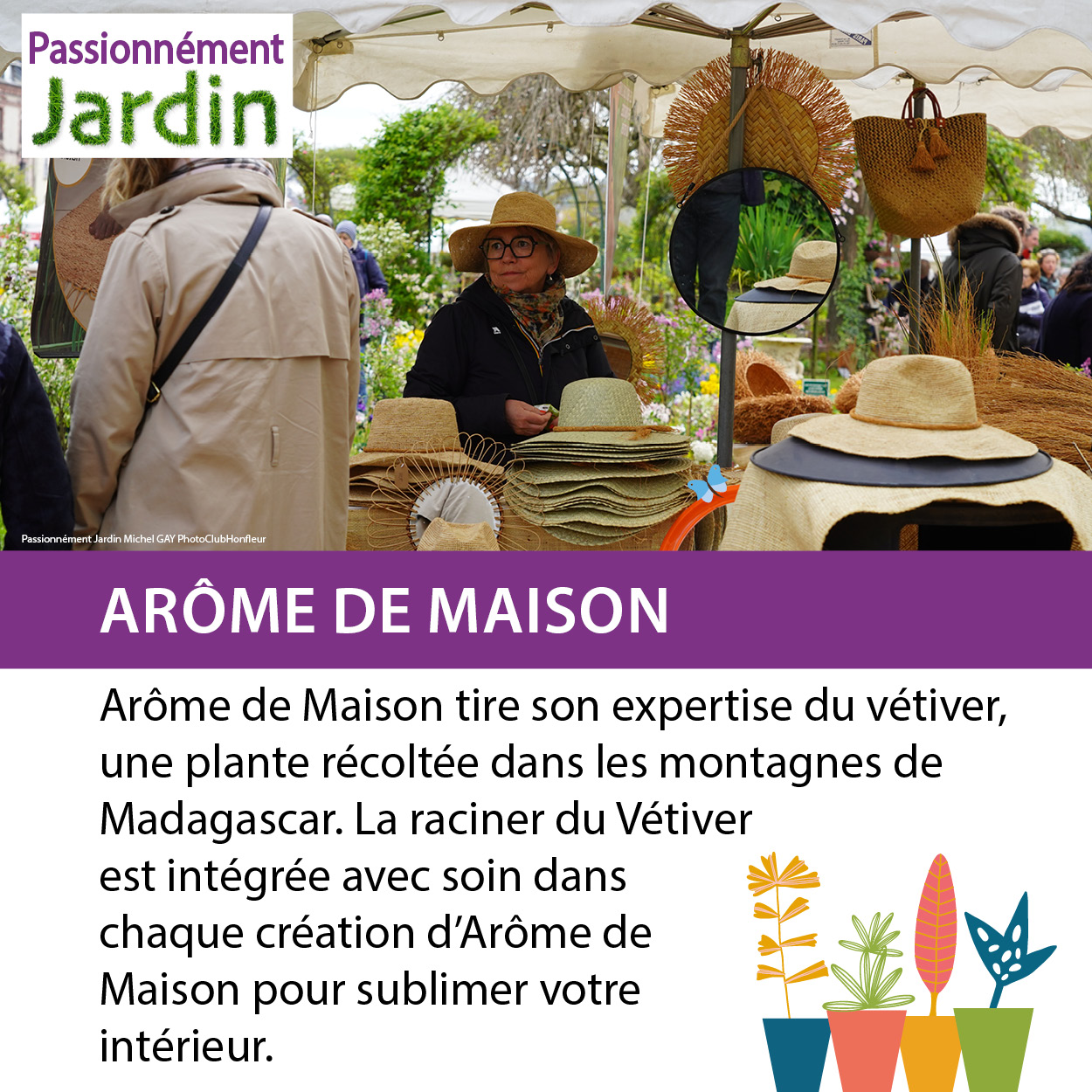 Arome-de-maison-Vetivier