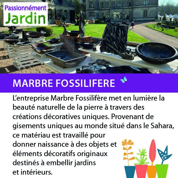 Marbre-Fossilifere