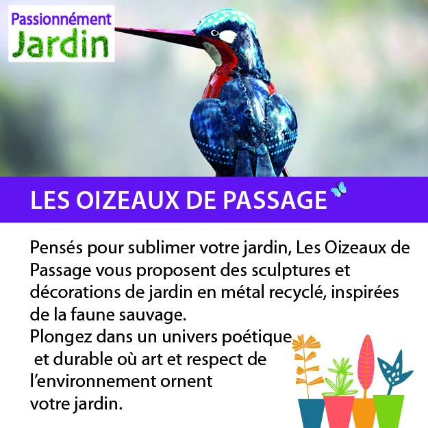 Les-Oizeaux-de-passage
