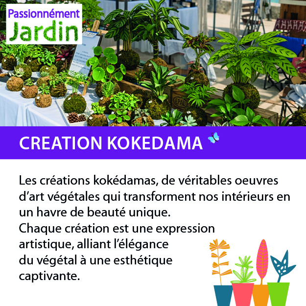 Creation-kokedama