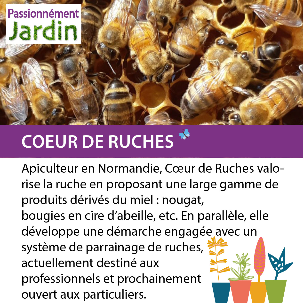 Coeur-de-Ruches