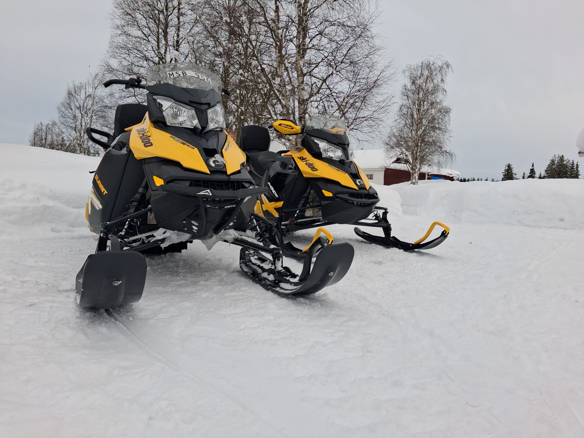 IMG-20260306-WA0001