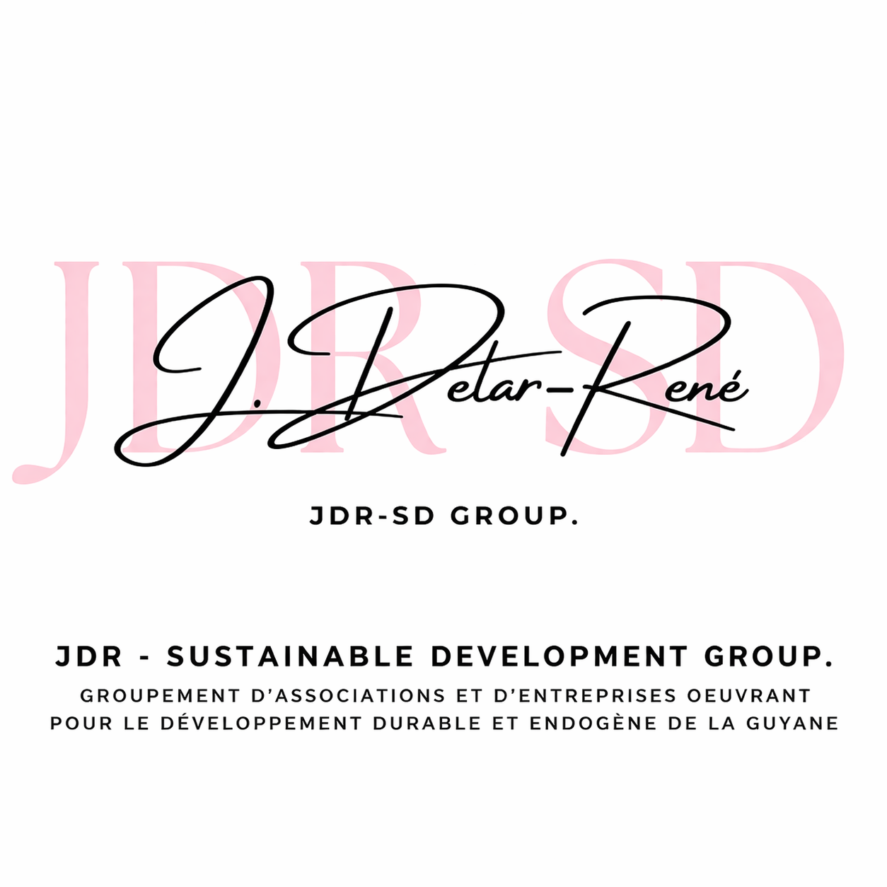 2-logo-jdr-sd-group