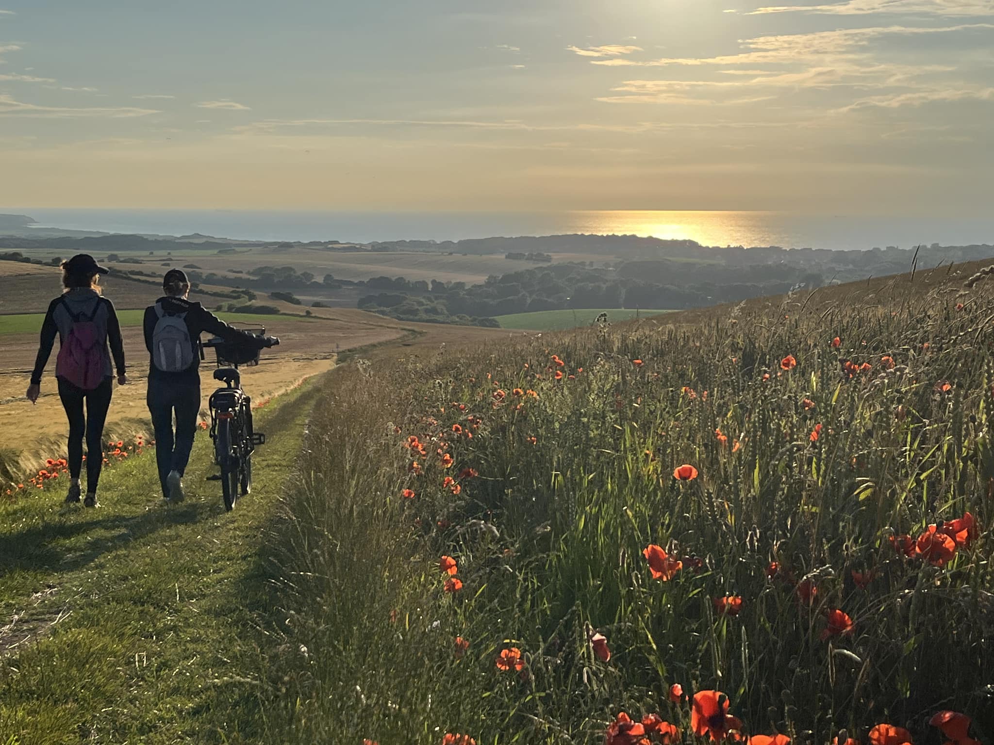 508162093 10236876366069789 7832929132546235768 n