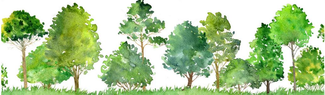 Arbres
