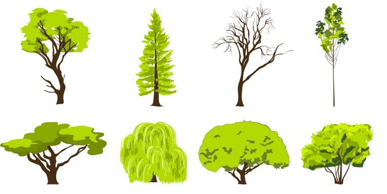 Arbres-2