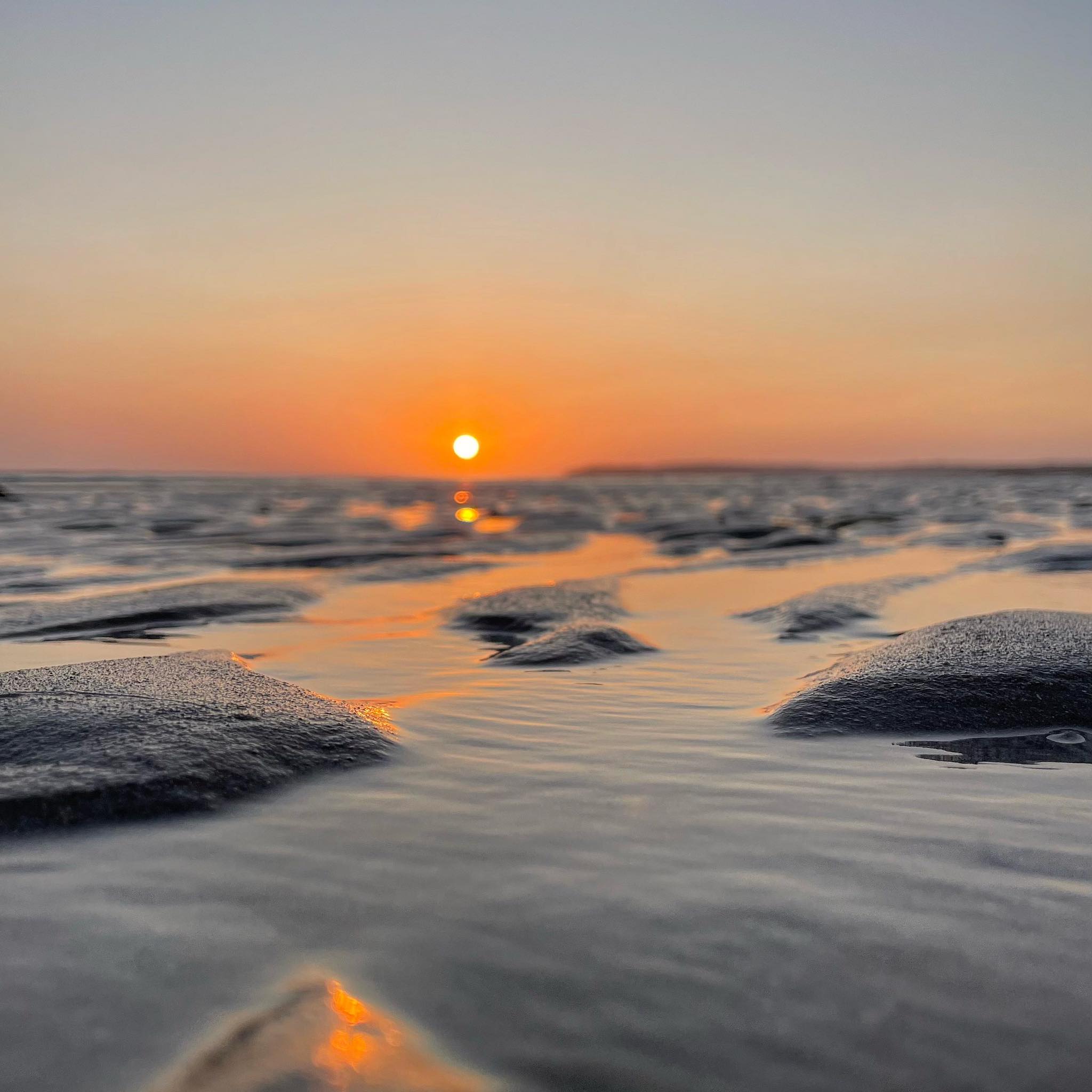 482252713 694513476257342 5018466423863881252 n