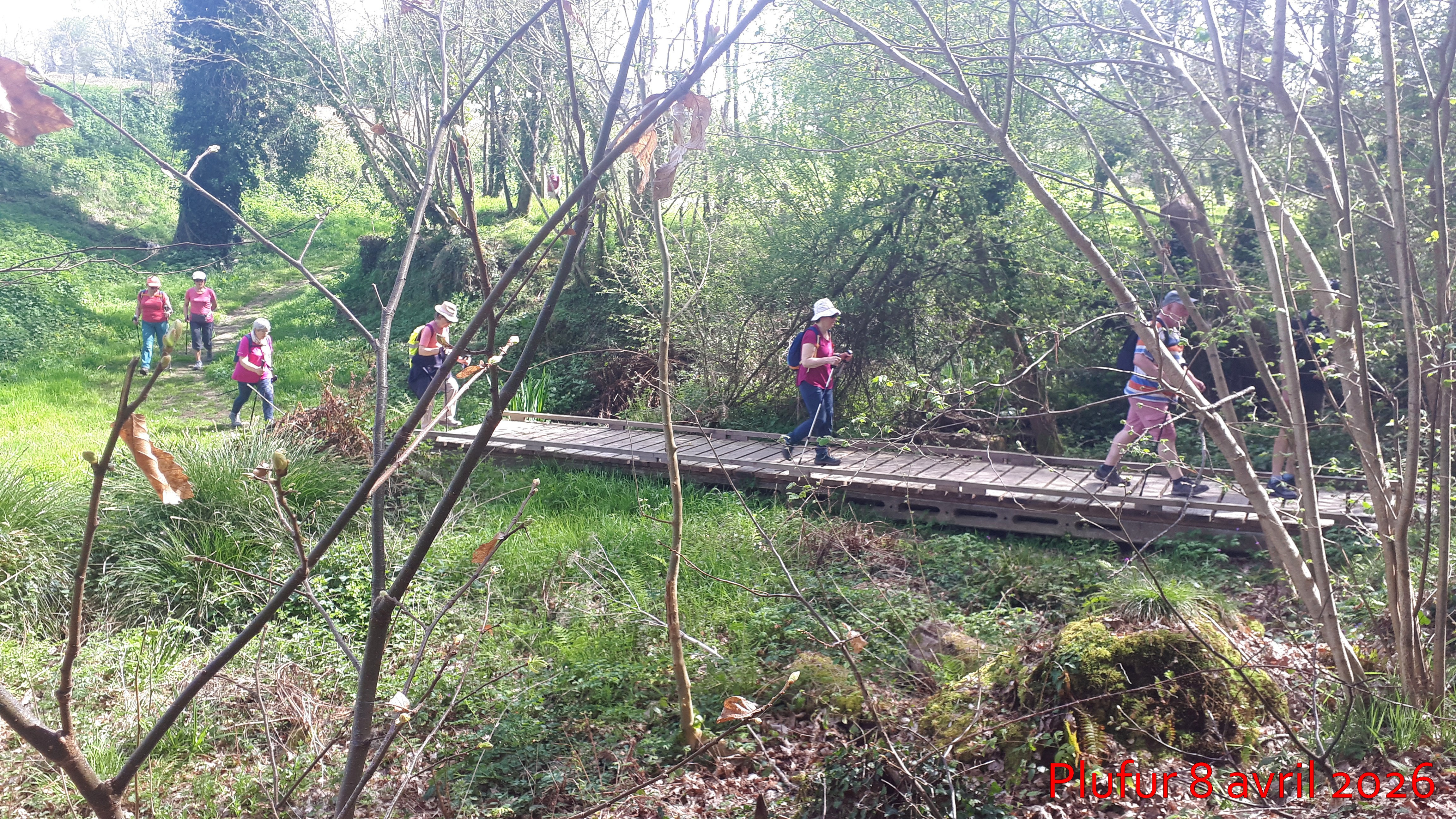 2026 04 08 plufur  11 