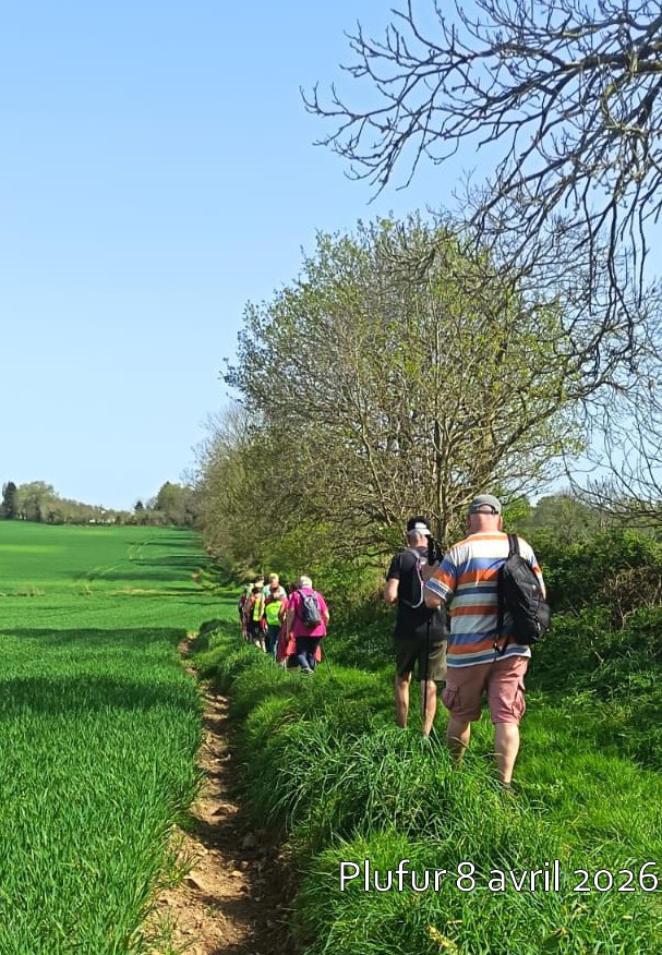 2026 04 08 plufur  7 