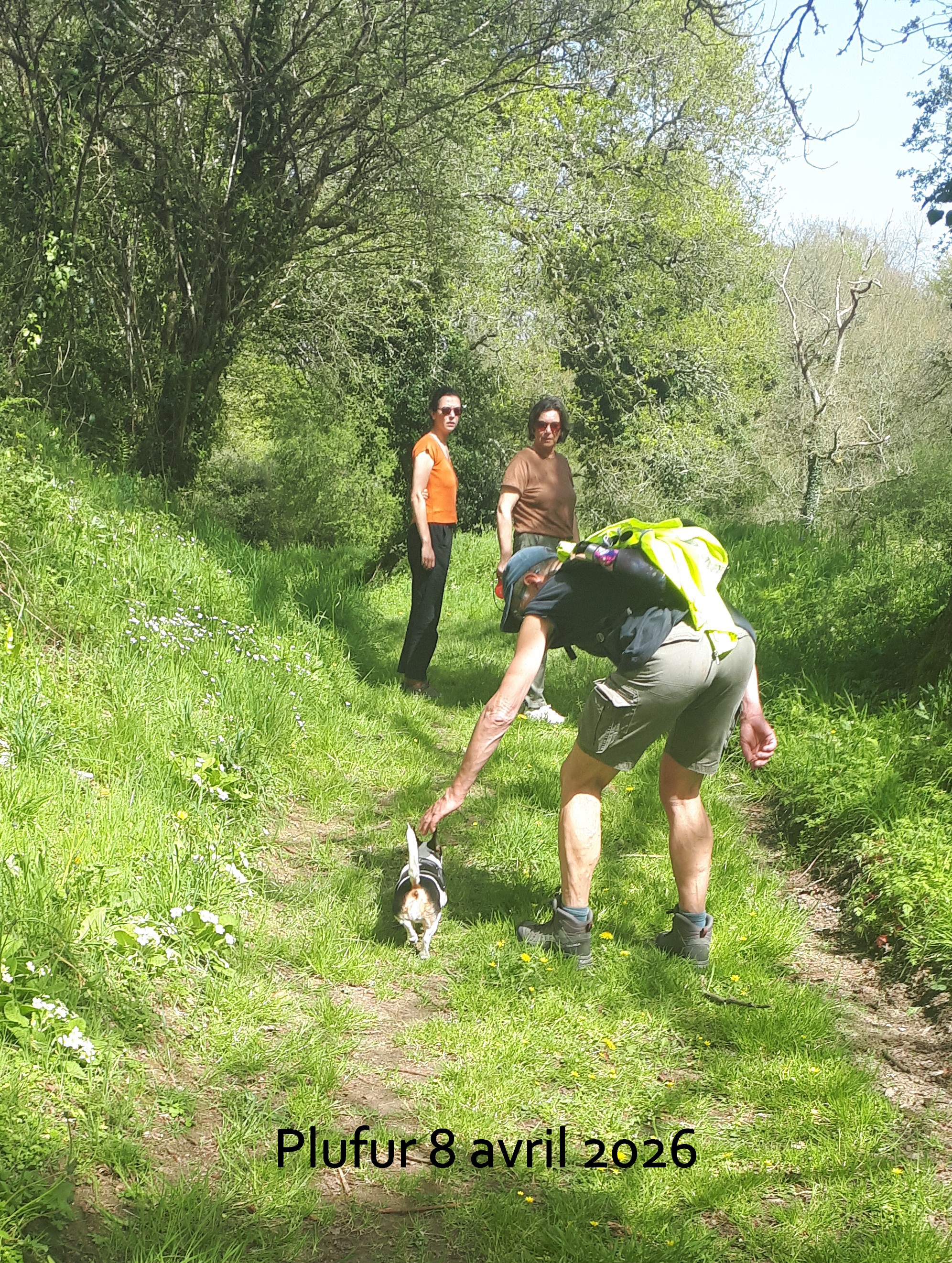 2026 04 08 plufur  6 