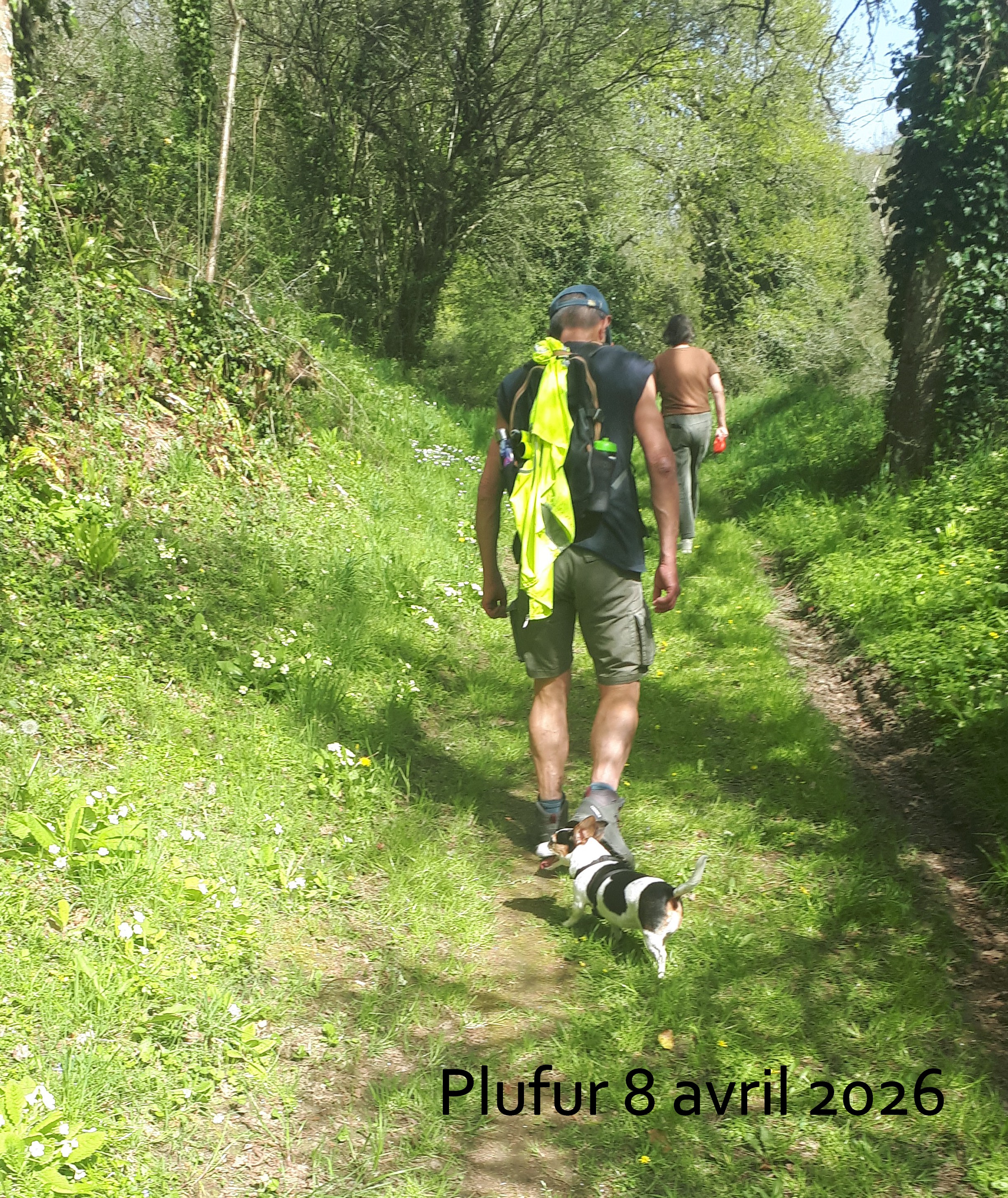 2026 04 08 plufur  5 