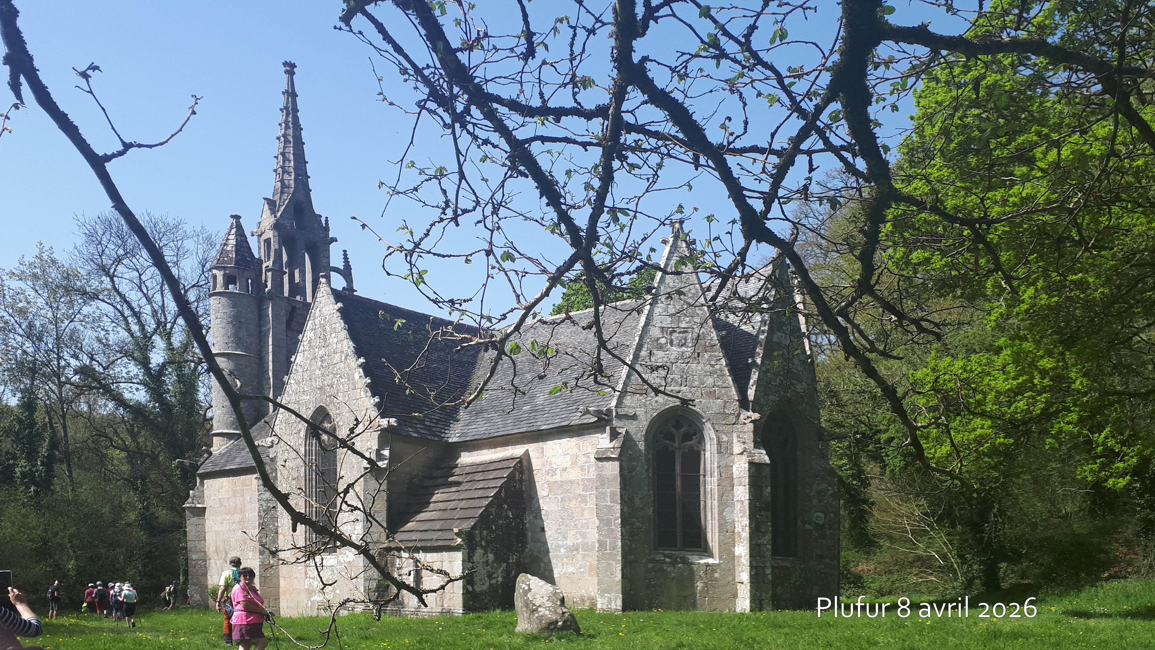 2026 04 08 plufur  4 