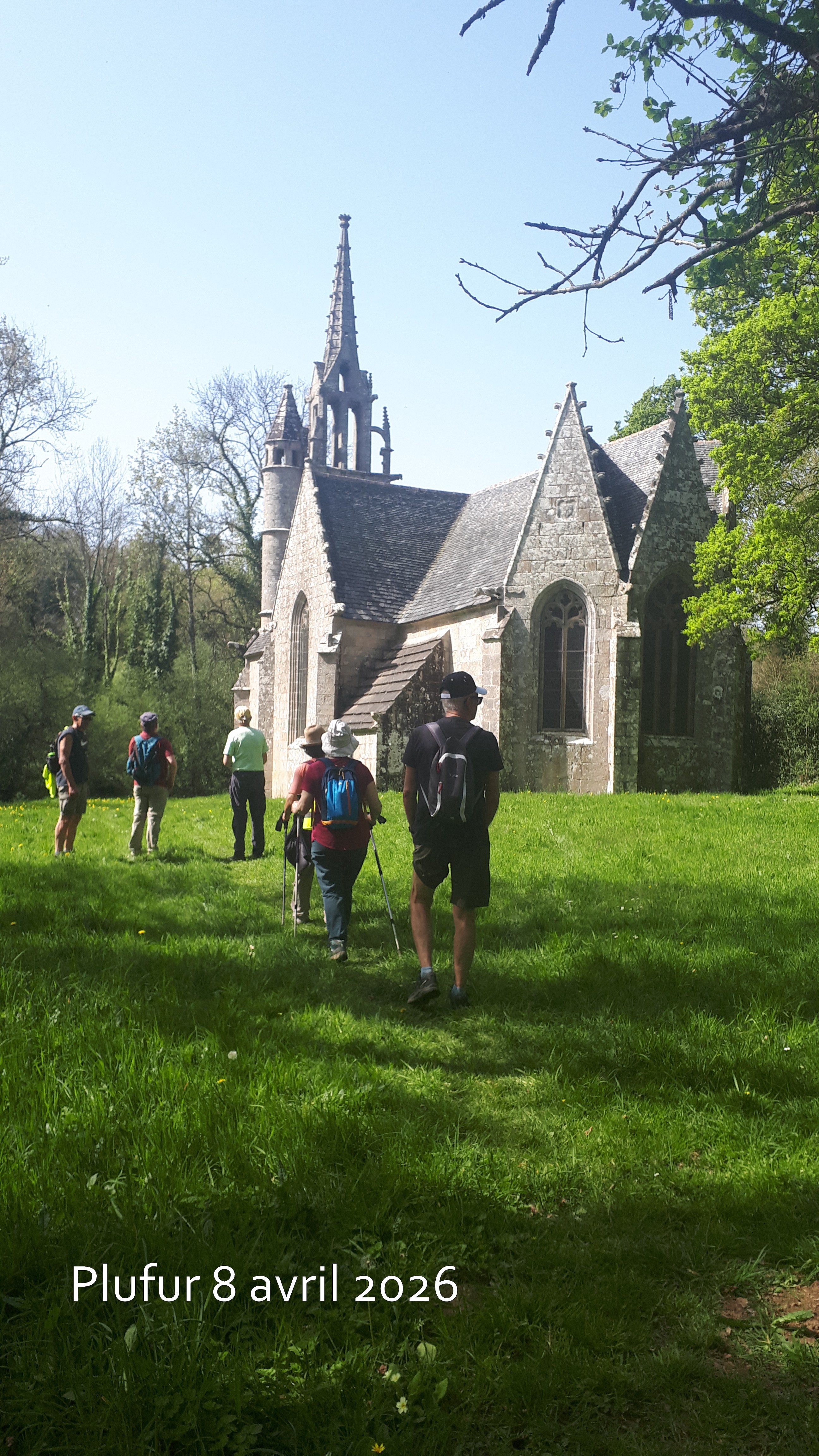 2026 04 08 plufur  2 