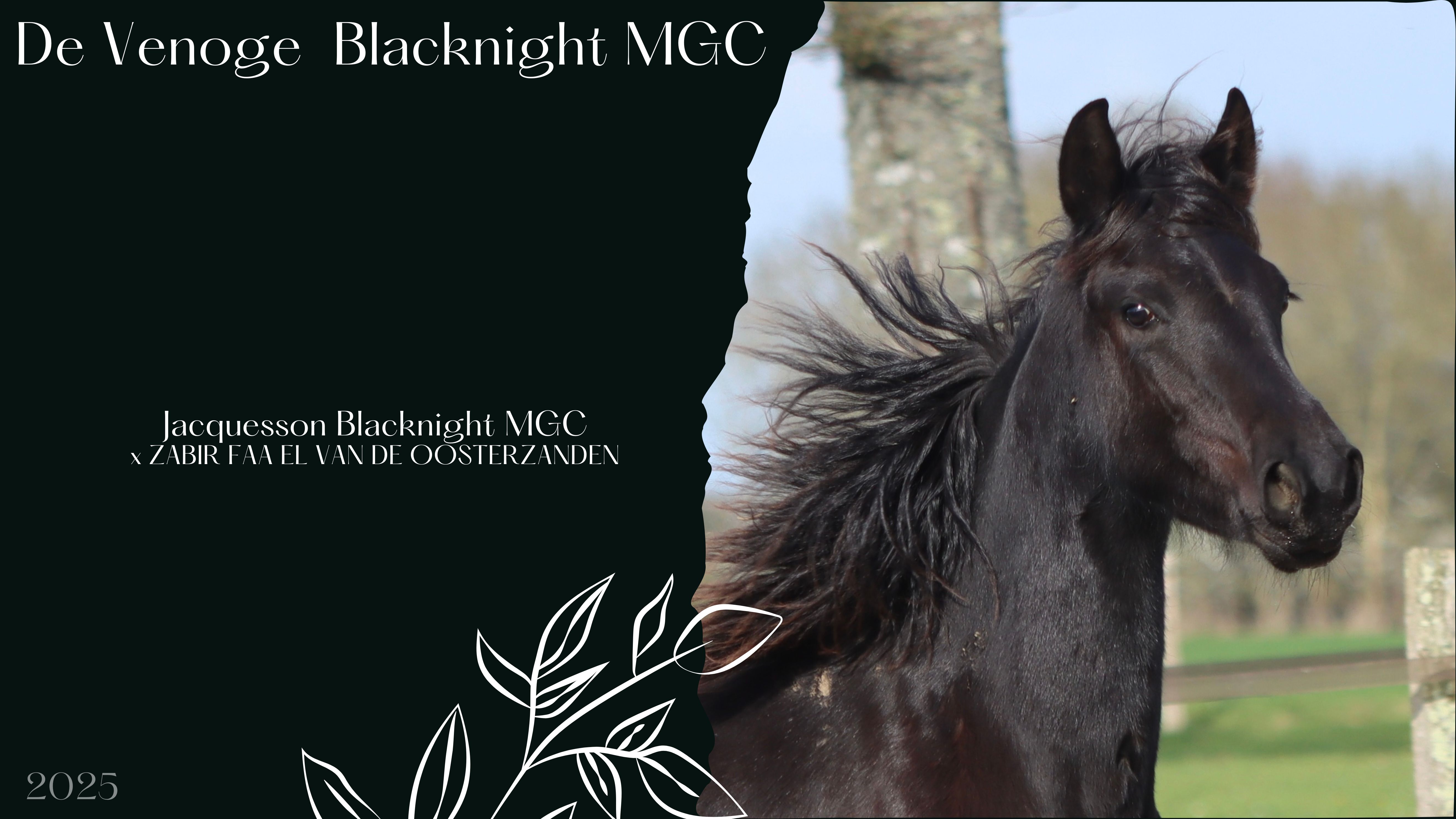 Green-and-white-Sustainability-modern-presentation