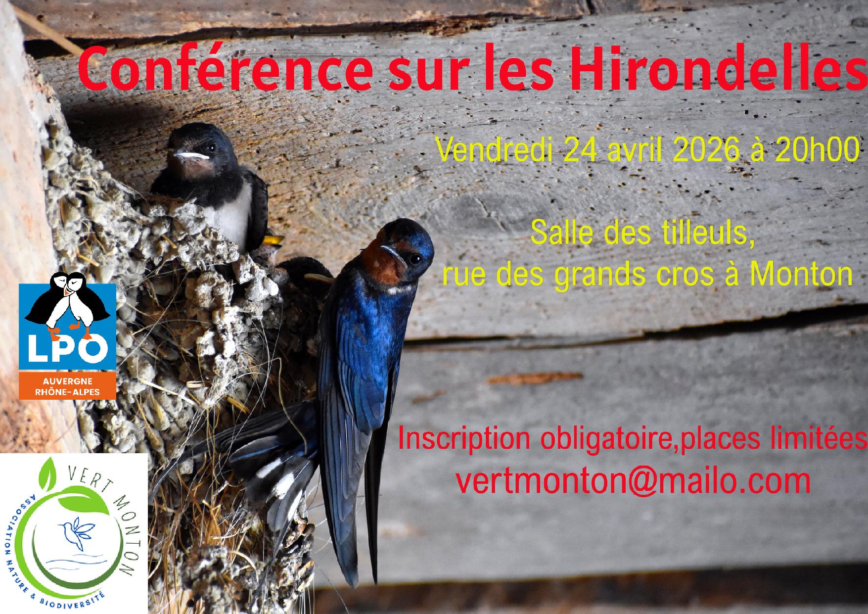 Conference-hirondelles-24-04-2026-page-001