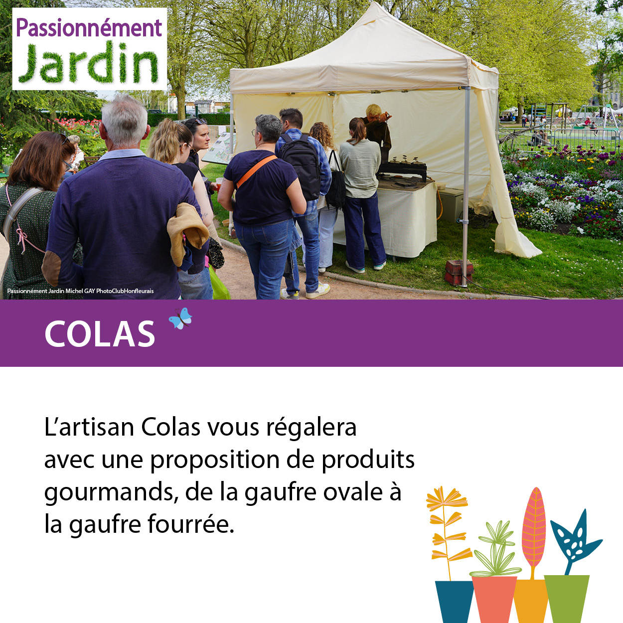 Colas