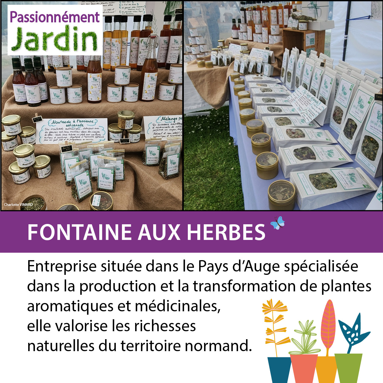 Fontaine-aux-herbes