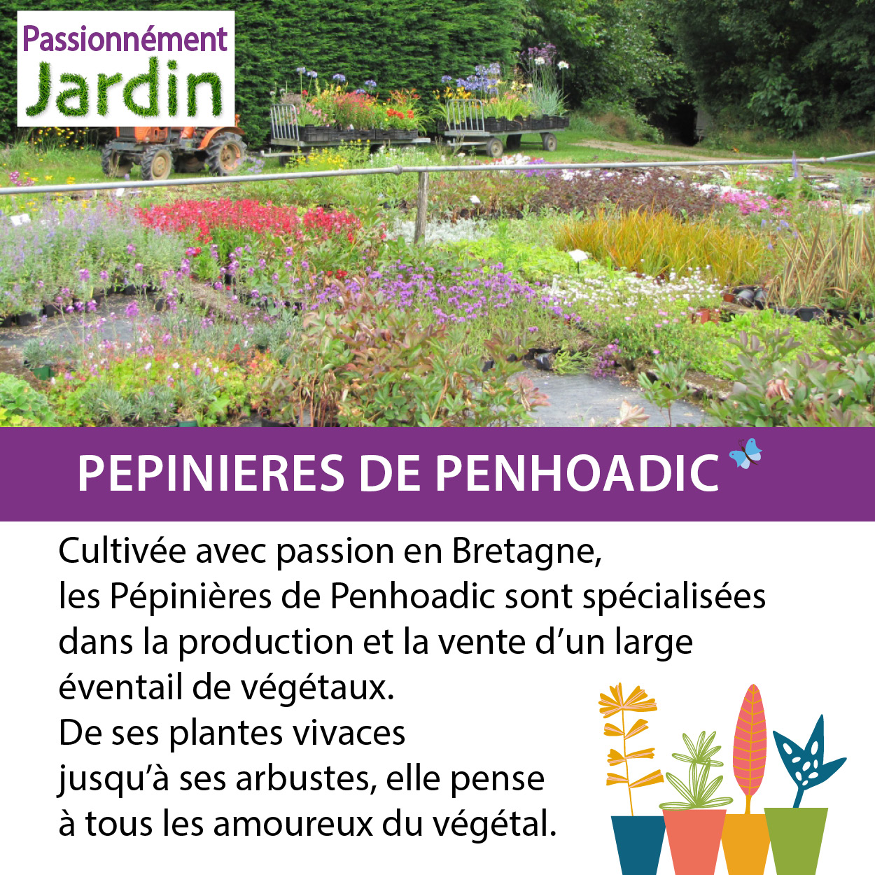 Pepiniere-de-Penhoadic