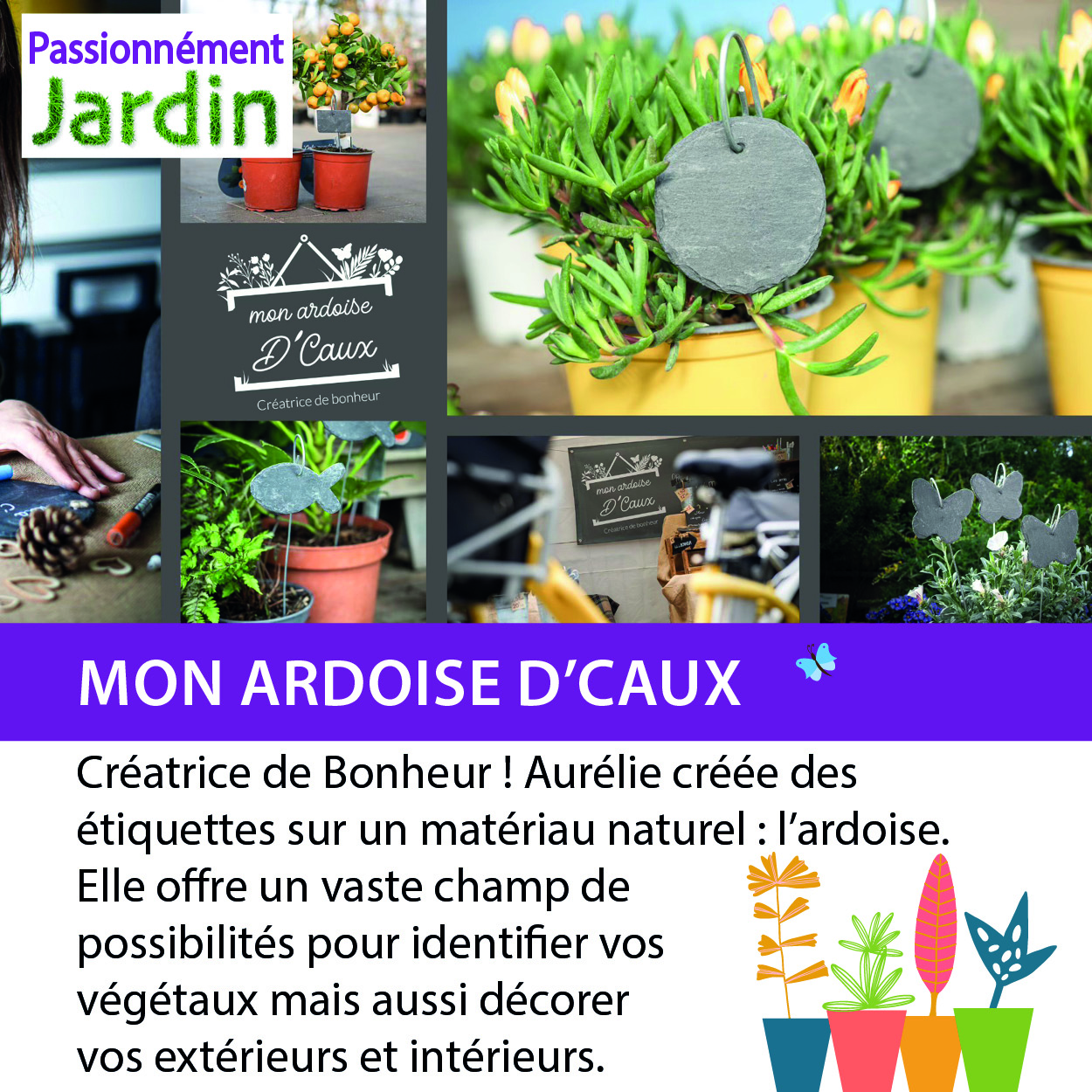 Ardoise-DCaux
