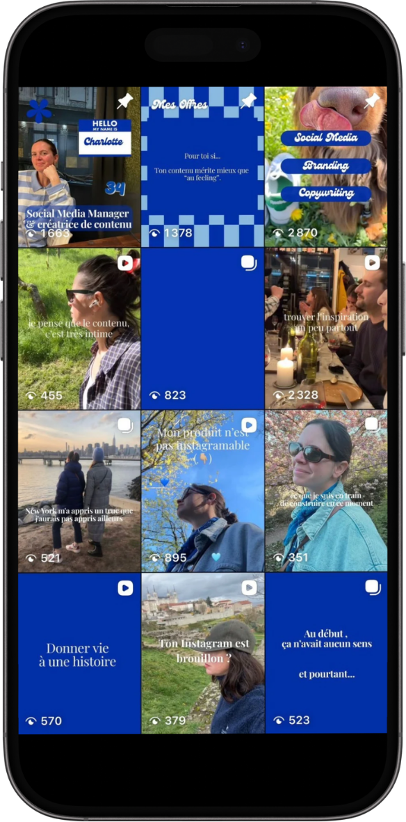 Posts-feed-insta-pro-4-