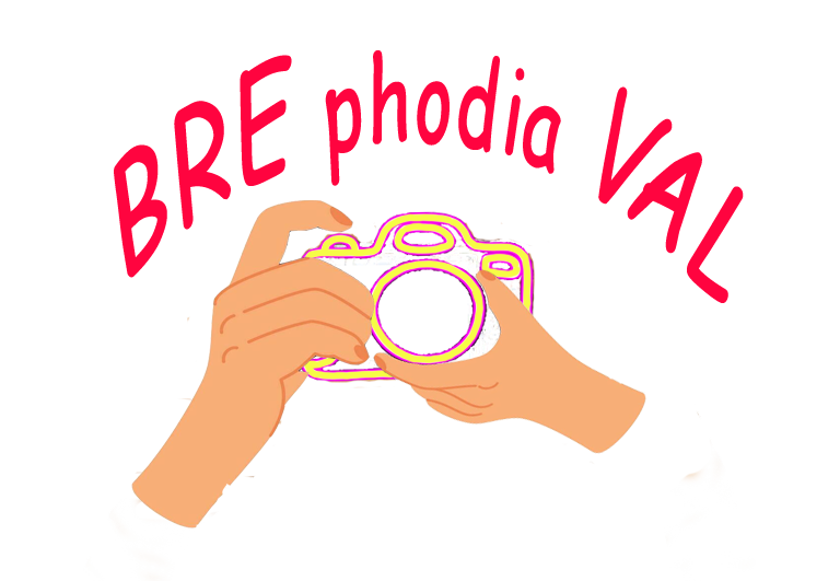 Nouveau-logo-brephodiaval-03-fin