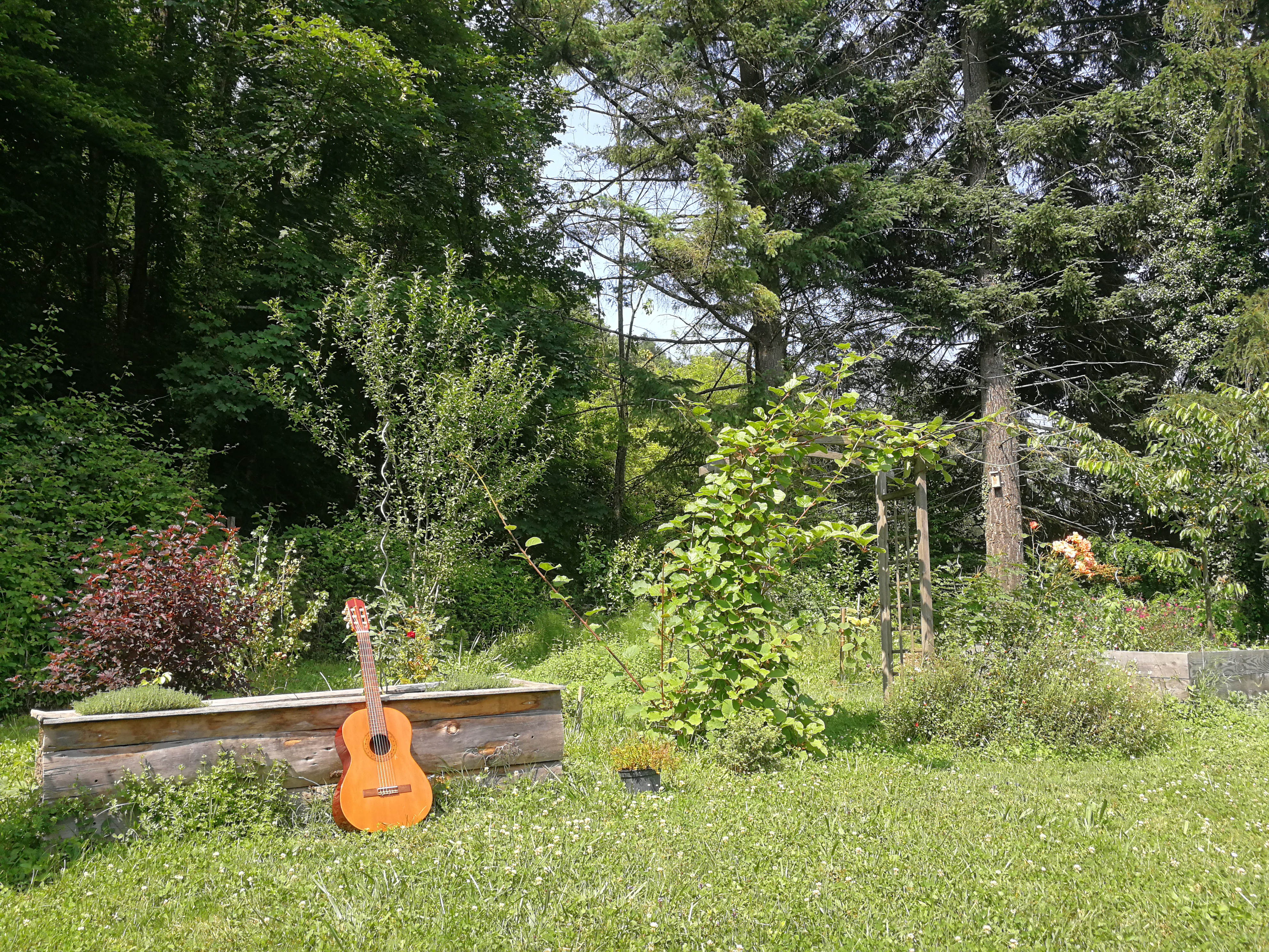 IMG 20250609 160331
