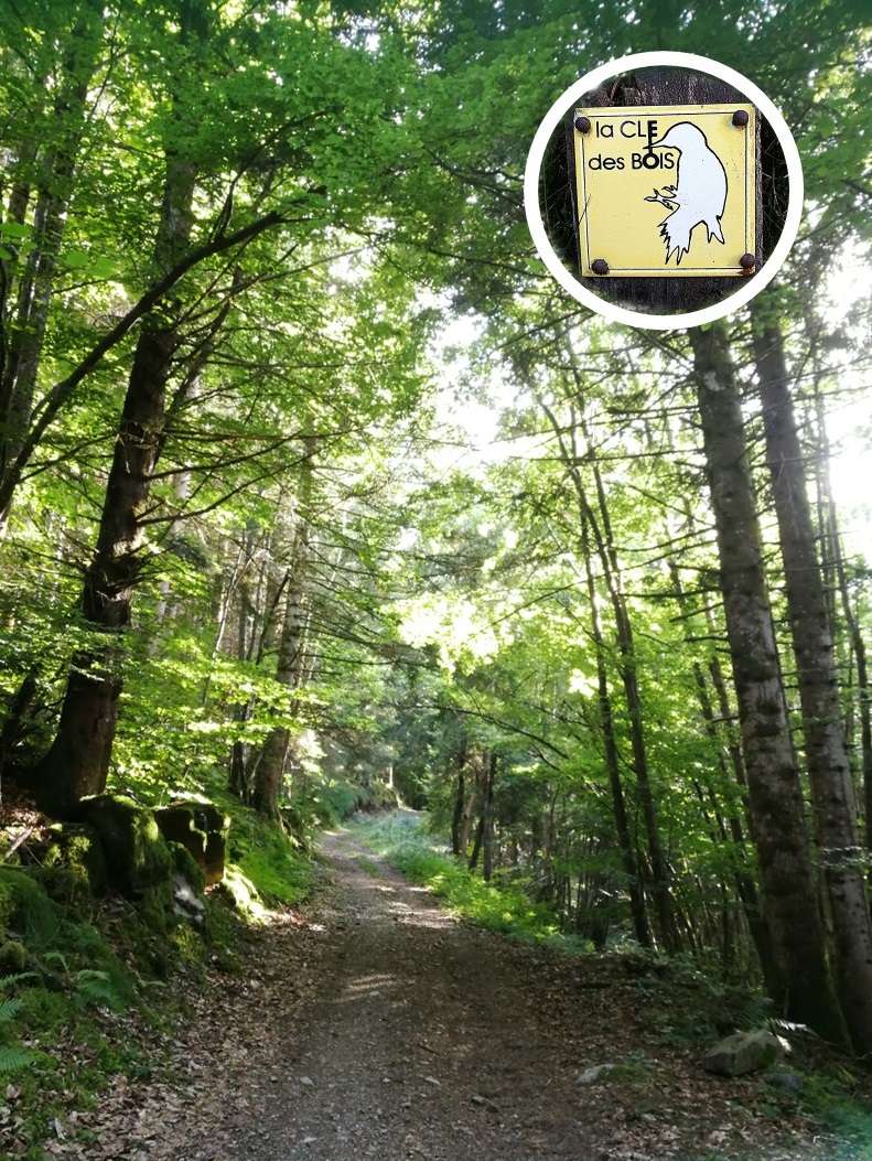 Cle des bois-bourget