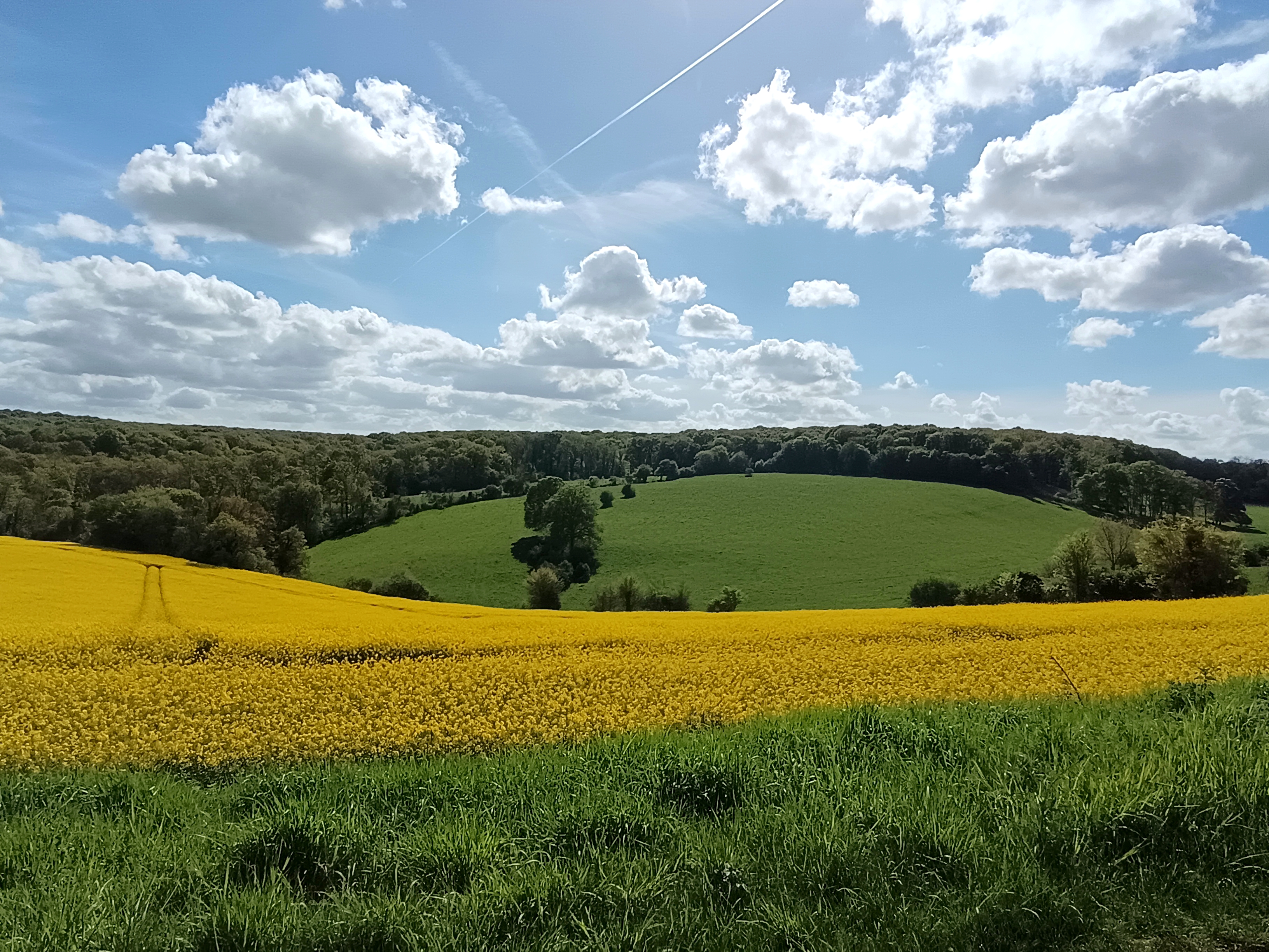La villeneuve en chevrie paysage