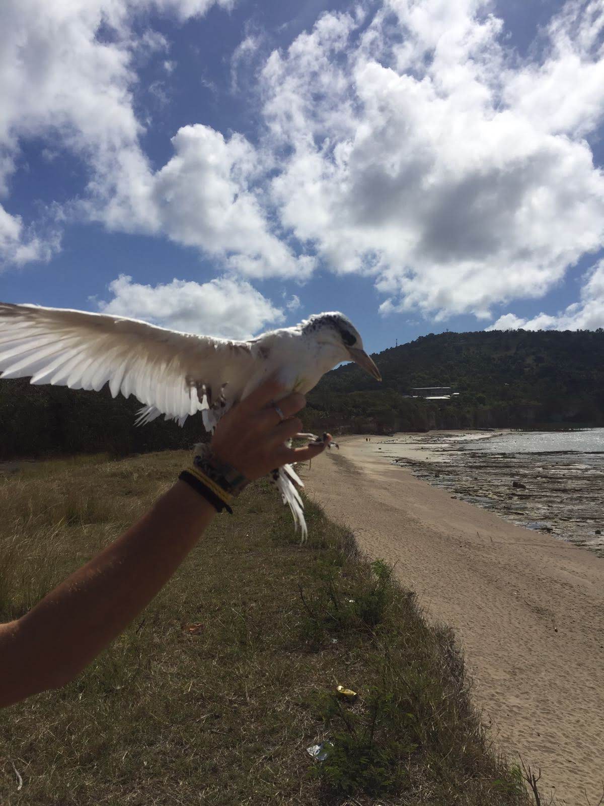 Img 20180625 wa0012
