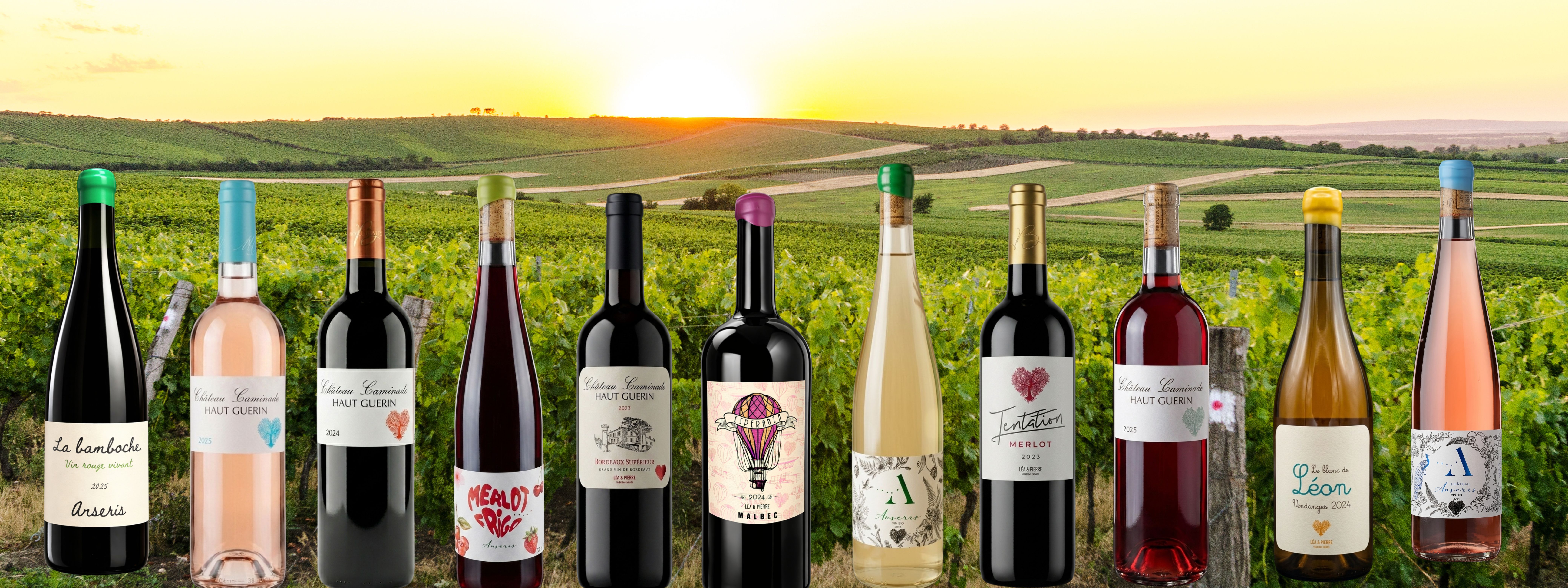 Sans-titre-80-x-30-cm-3