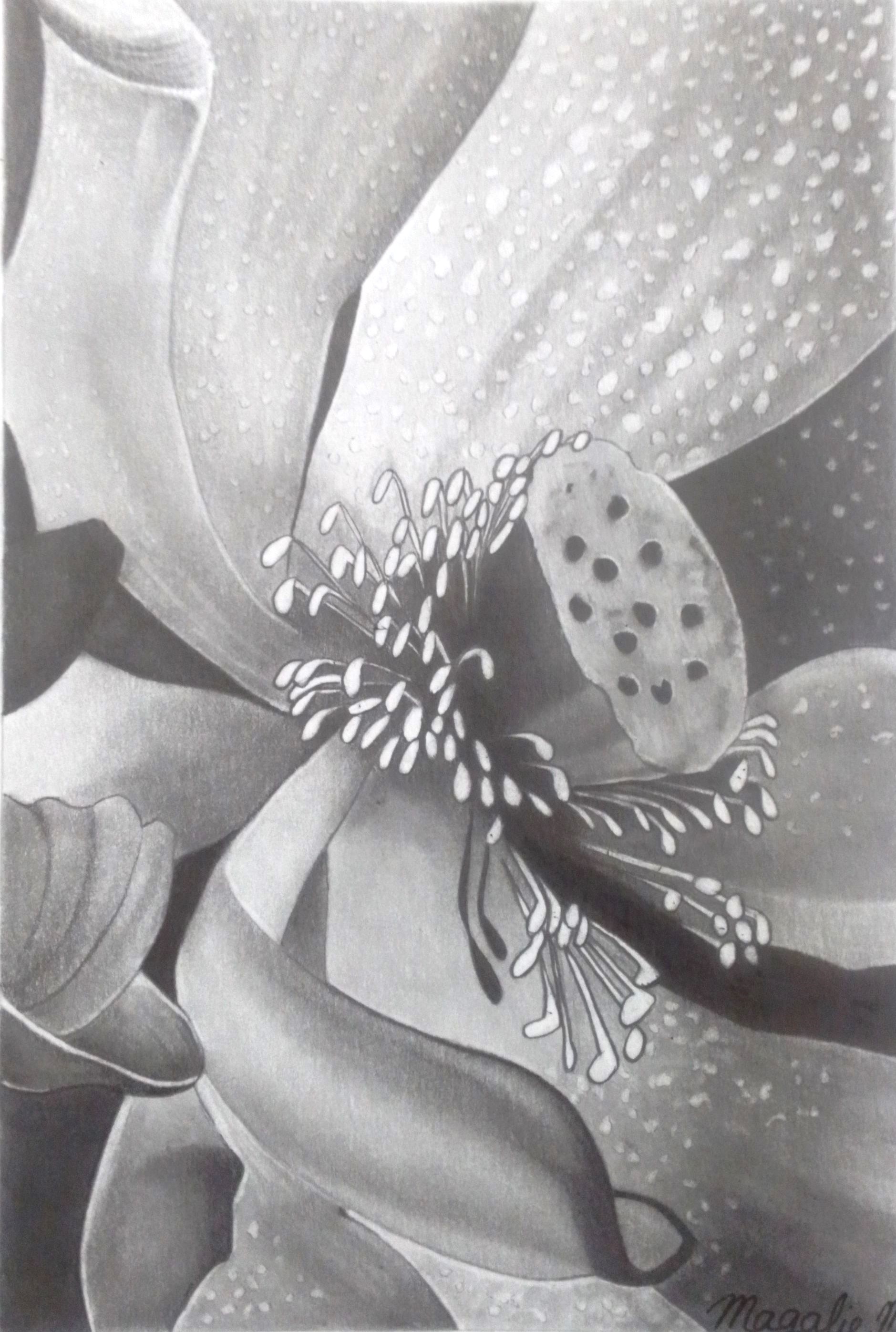 Img 20230722 184841 2