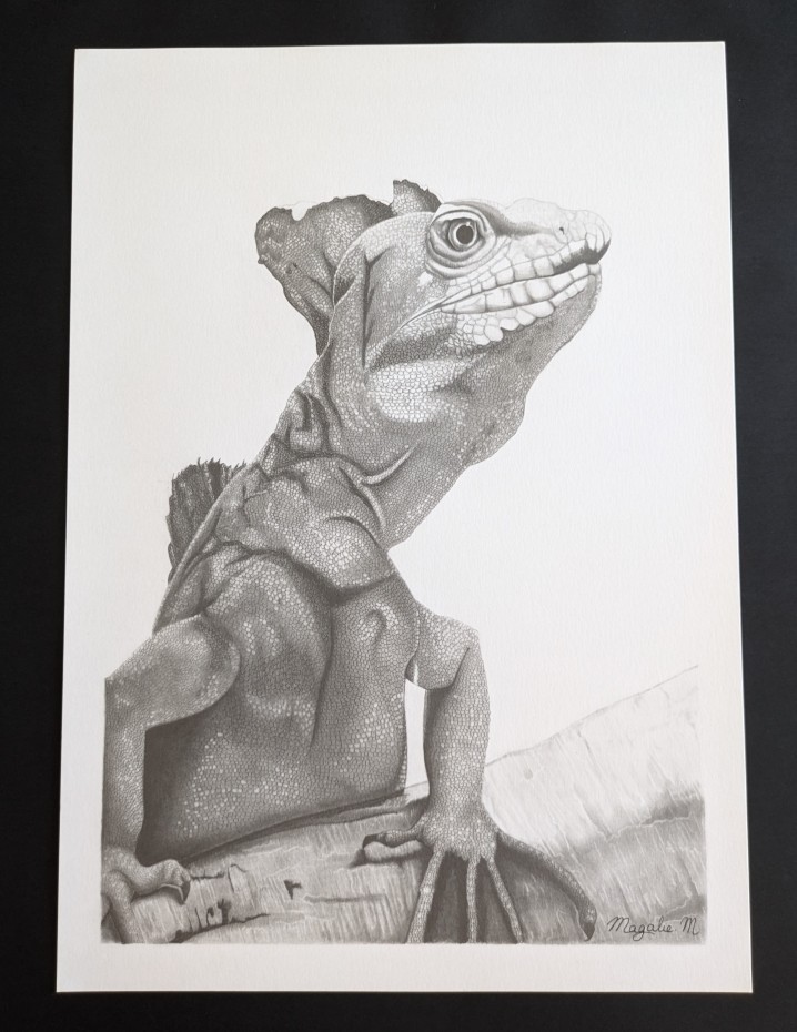 Pxl 20240914 151816164