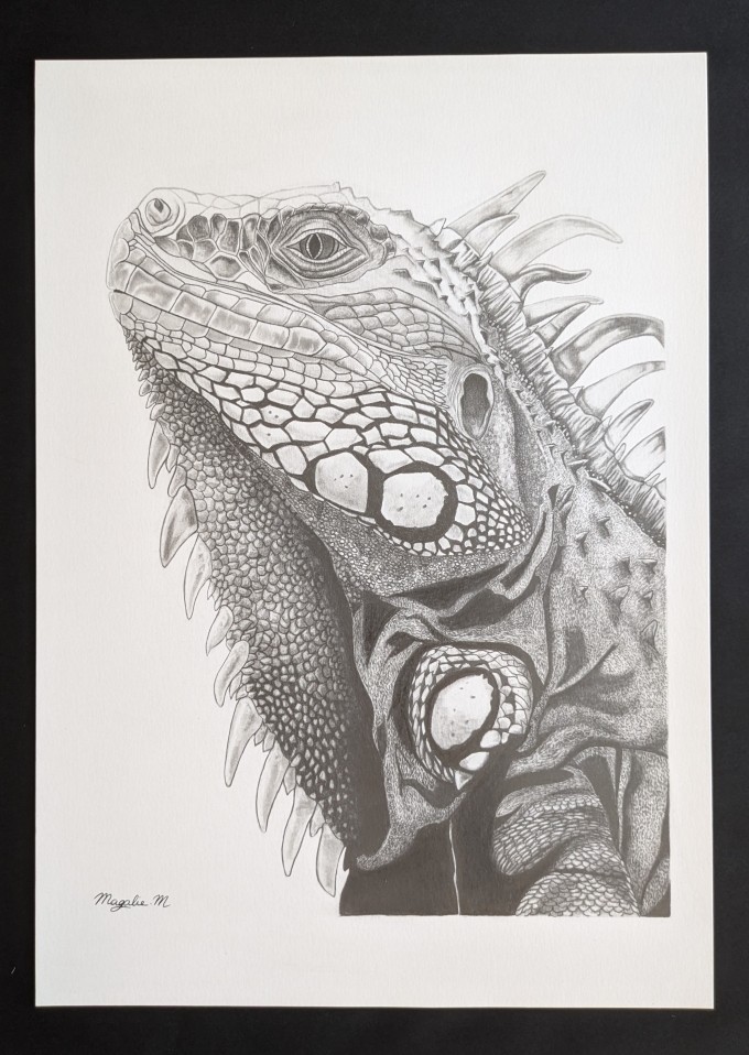 Pxl 20240914 151218195