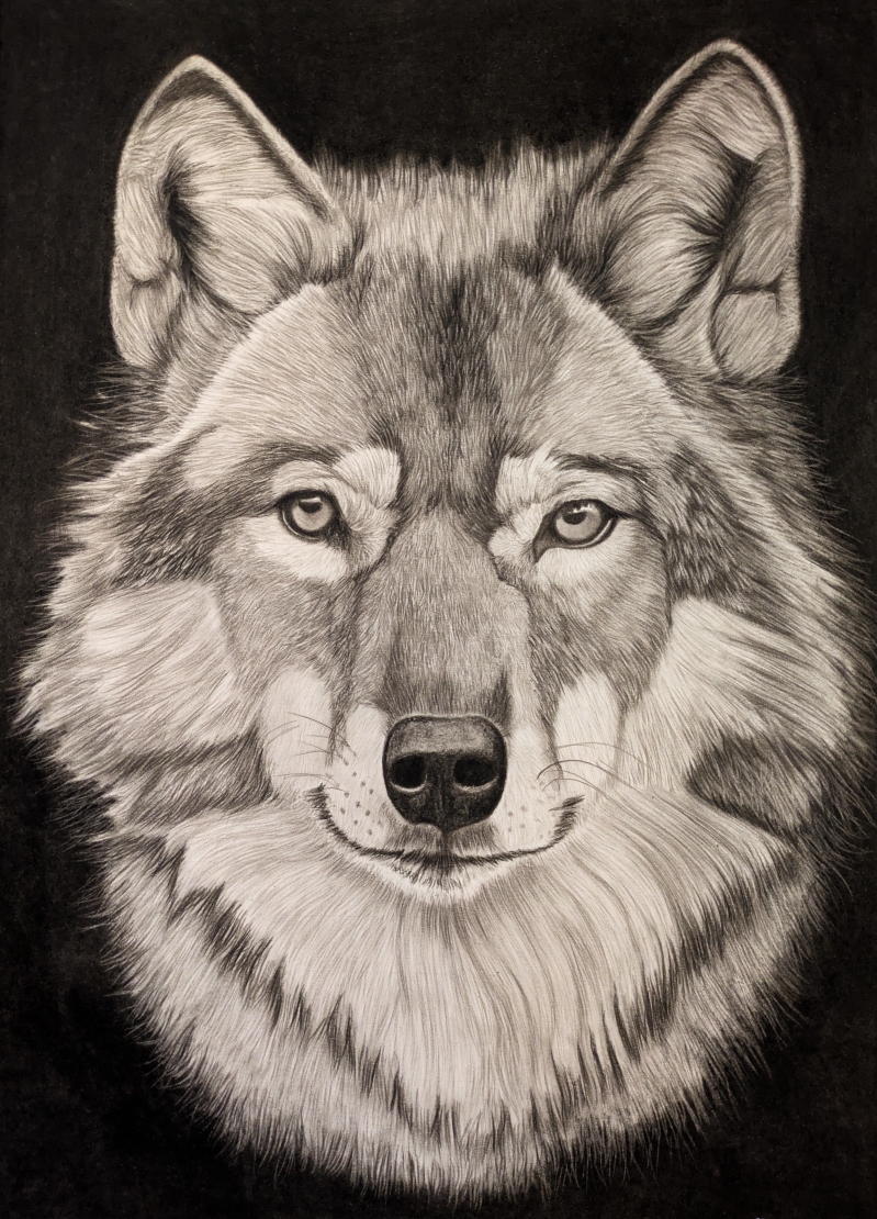 Pxl 20251125 135930469 2