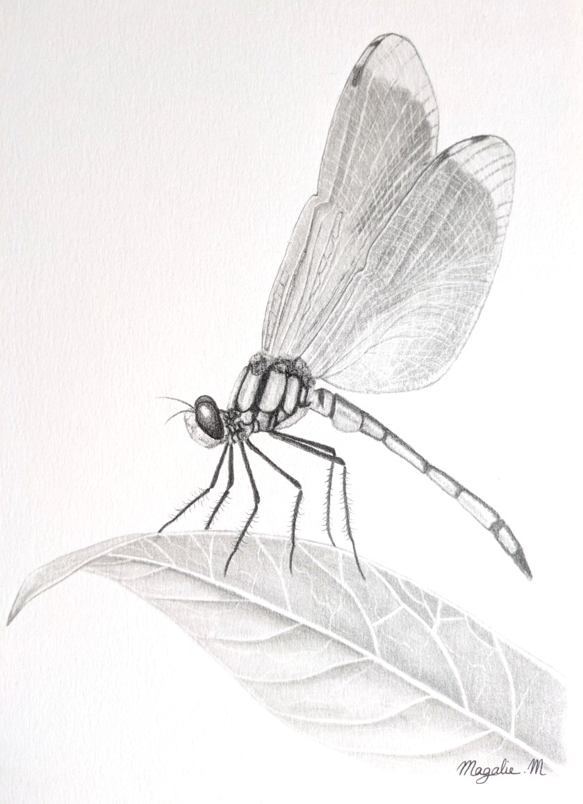 Pxl 20250406 105104055 2