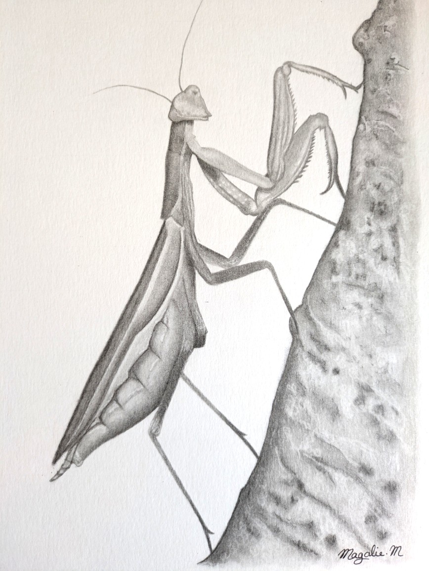 Pxl 20250330 135940095