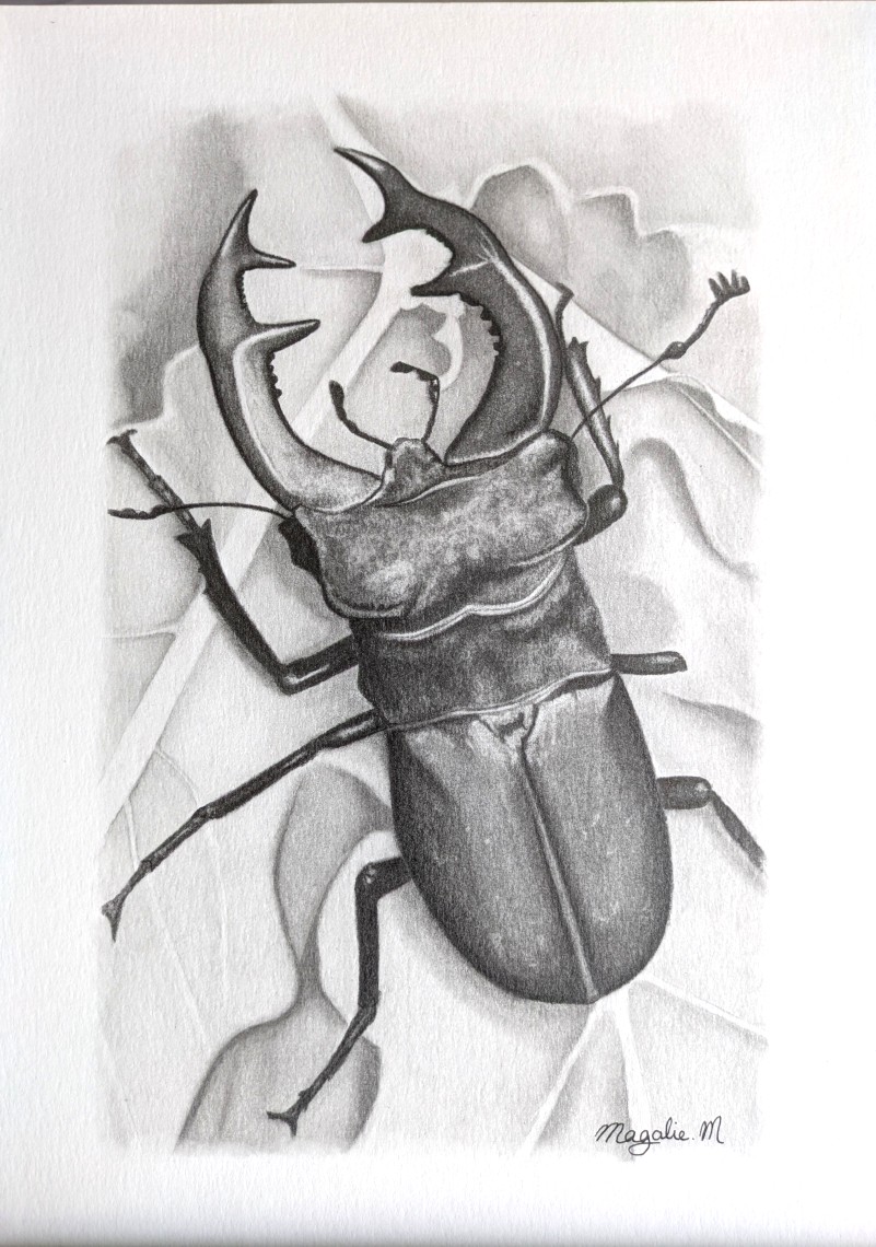 Pxl 20250324 115710306