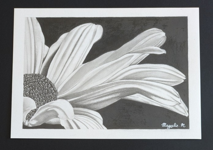 Pxl 20240914 150829565 1 