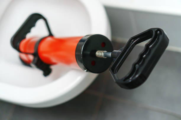 Istockphoto-1312311798-612x612