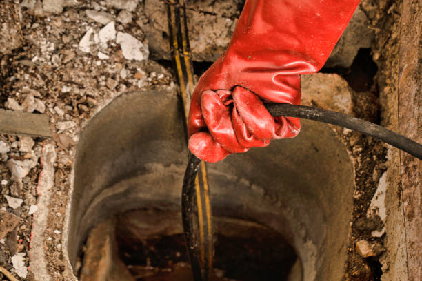 Istockphoto-2184576241-612x612