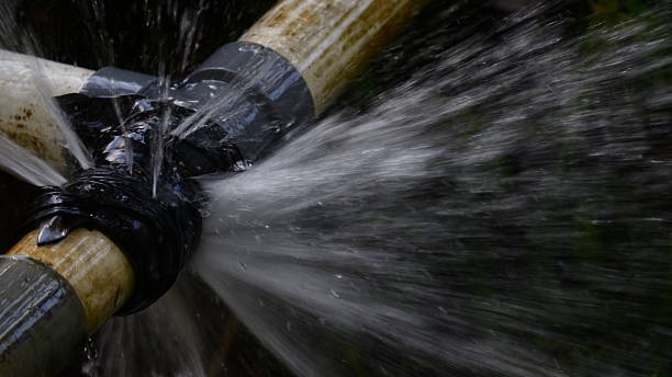 Istockphoto-2210004115-612x612