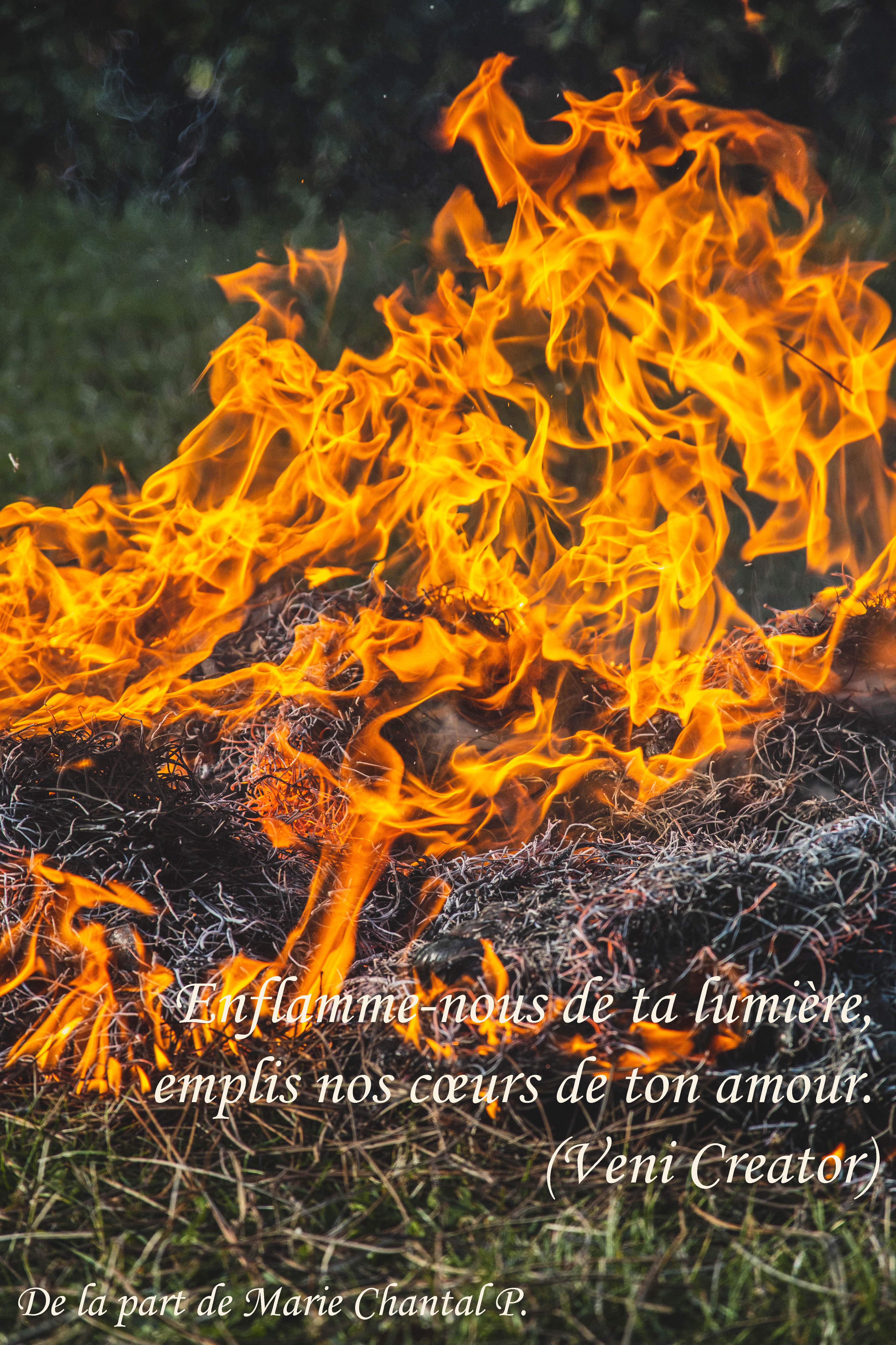 17- 45A0266-Marie-Chantal-1