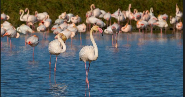 Capture d ecran 2026 04 22 170833