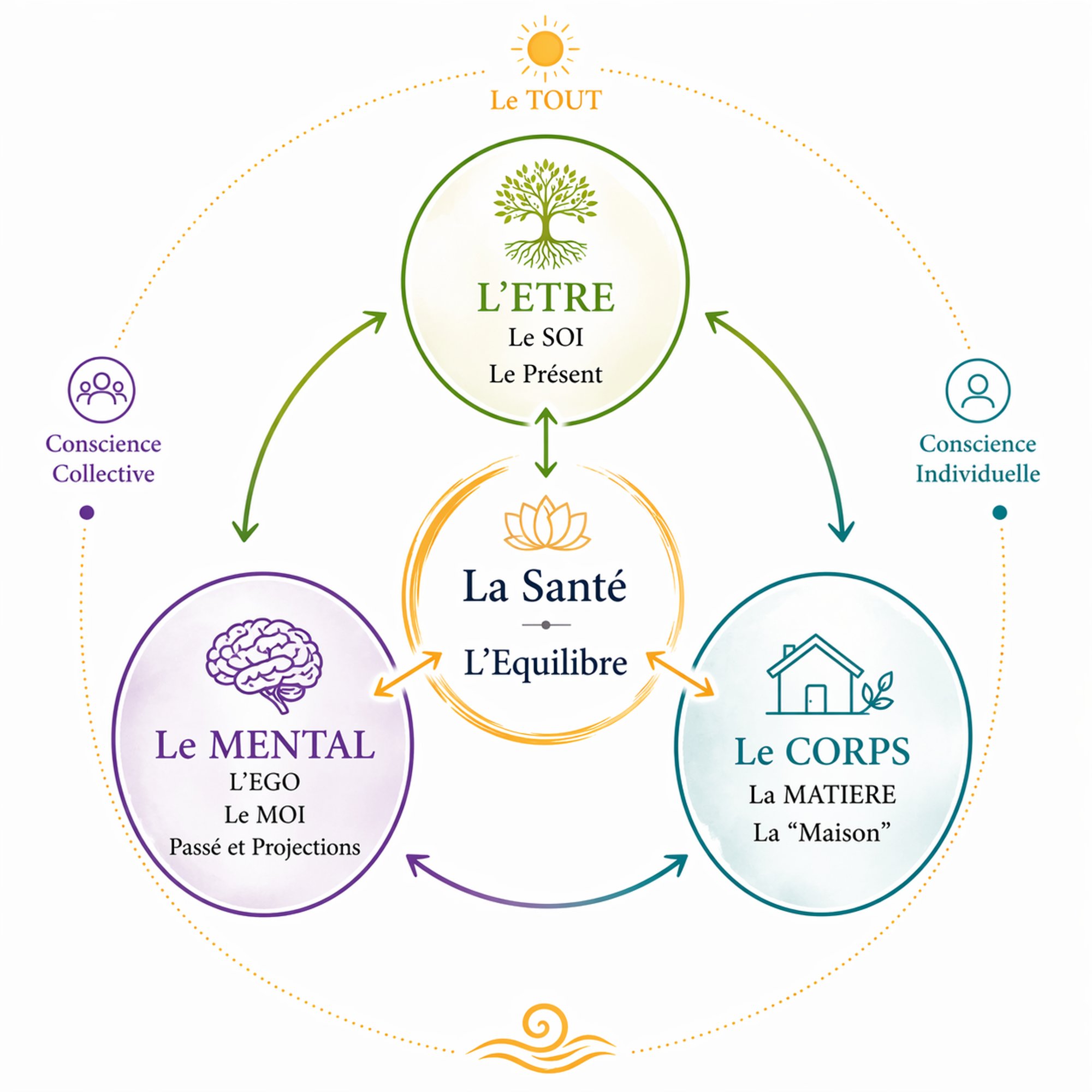 Comprendre ce qui se joue lors d’une séance d’ostéopathie tissulaire